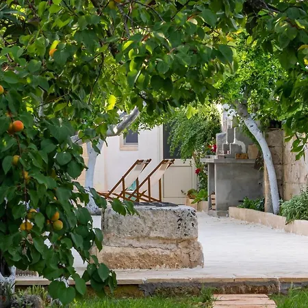 Corte Sant'oronzo Дизо