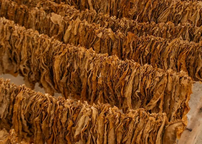 Corte Sant'oronzo Апартаменты